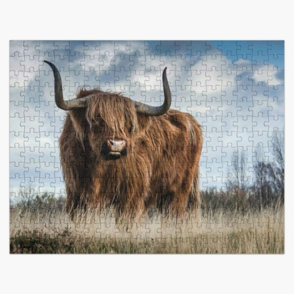 Highland Cow Scotland Photo 1 Jigsaw