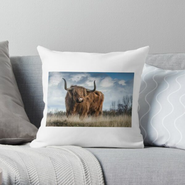 Highland Cow Scotland Photo 1 Cushion