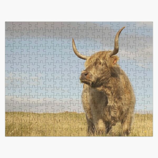 Highland Cow Scottish Photo Jigsaw Puzzle