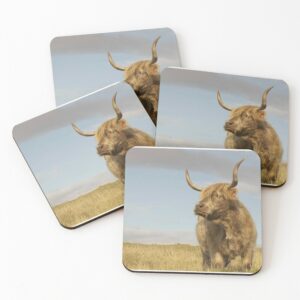 Highland Cow Scottish Photo Coasters