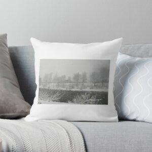 River Teviot in Winter Photo Cushion